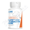 Alavis MSM+Glukosamin sulft pro psy tbl.60