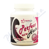 Perfect HAIR new - methionin 500mg tbl. 100