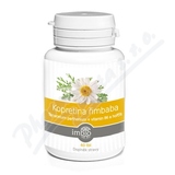 Kopretina imbaba + vitamn B6 a hok tbl. 40