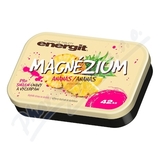 Energit Magnzium ananas tbl. 42