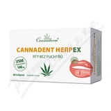 Cannaderm Cannadent HerpEX rty bez puch 28 tob.