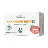 Cannaderm Cannadent HerpEX rty bez puch 28 tob.