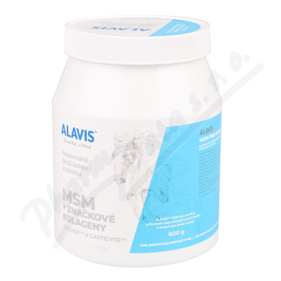 Alavis MSM pro kon a pony plv.600g